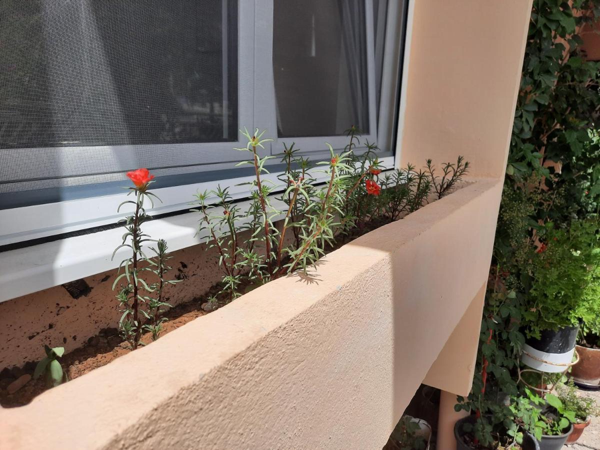 Montenegro Sea Pearl Apartments Petrovac Luaran gambar